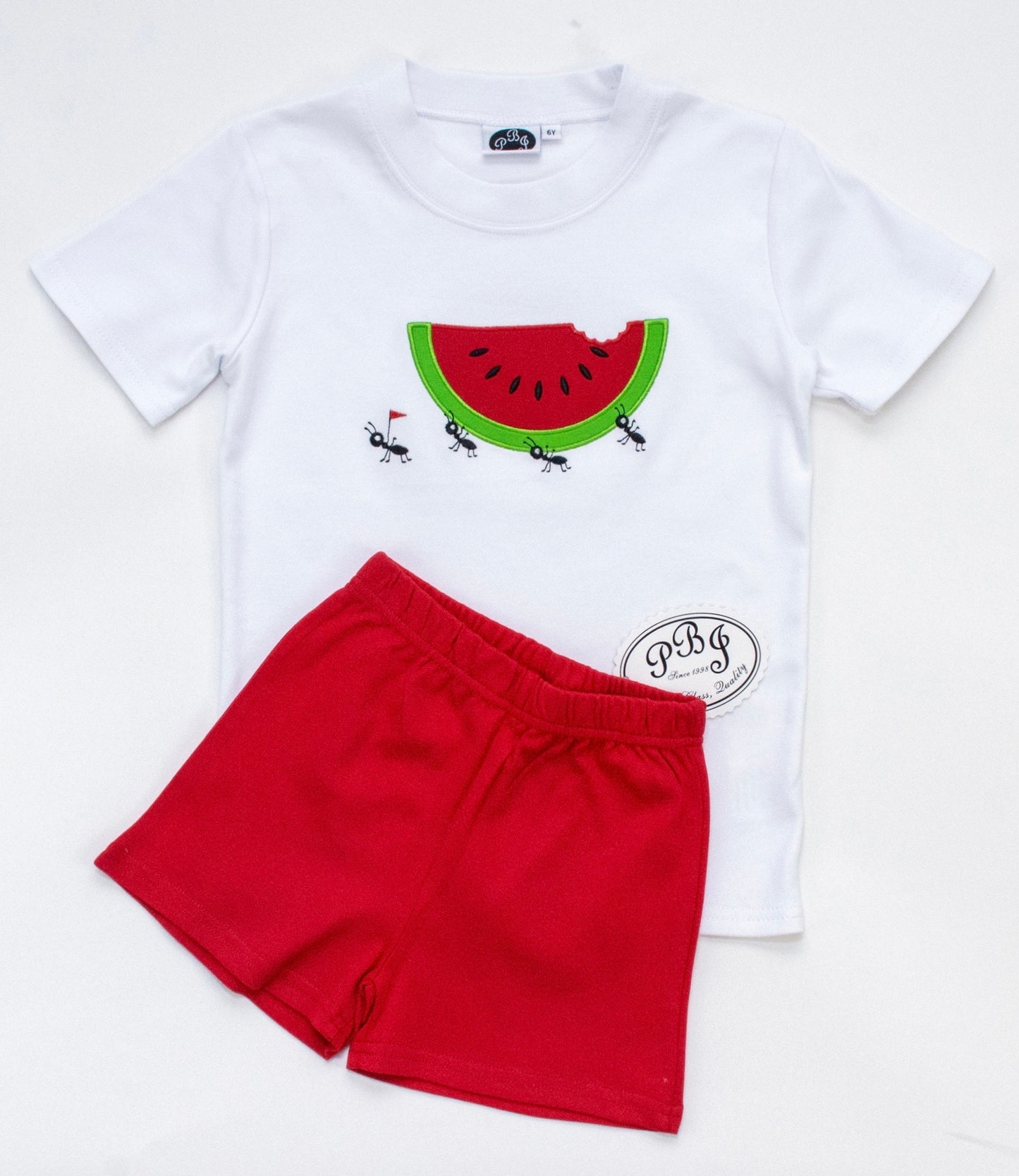 Boy Applique t-shirt - Watermelon*
